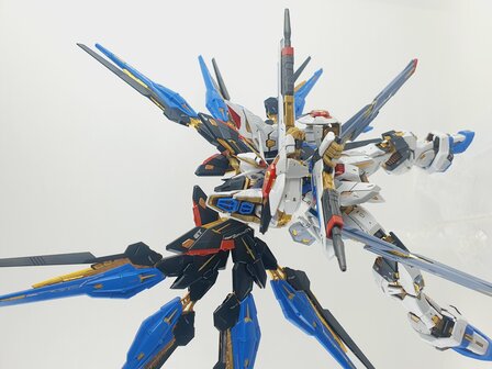 Delpi-Decal MGEX Strike Freedom Gold Normal